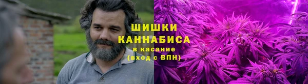 альфа пвп Горнозаводск