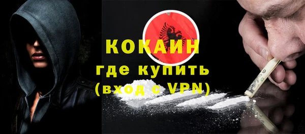 крисы Горняк