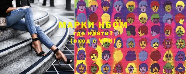 крисы Горняк
