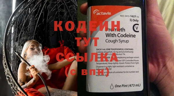 крисы Горняк